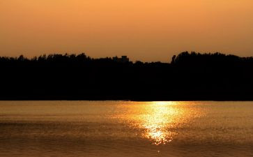 秋天的怀念教学反思7篇