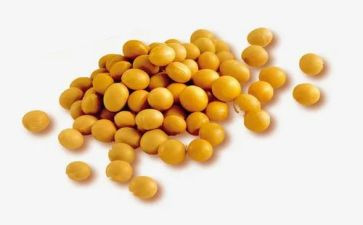 炒黄豆教案6篇