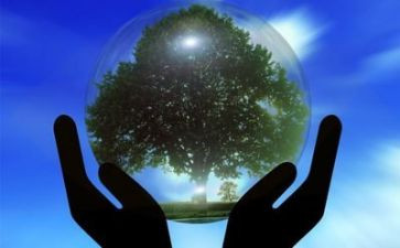 关于校园环境的作文7篇