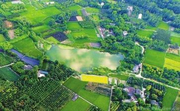 关于环境的优秀作文6篇