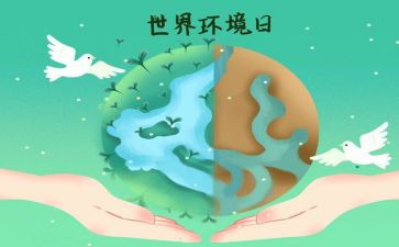 65环境日活动方案优秀5篇