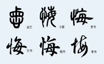 无悔的演讲稿通用8篇