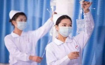 估护理工作总结优质7篇