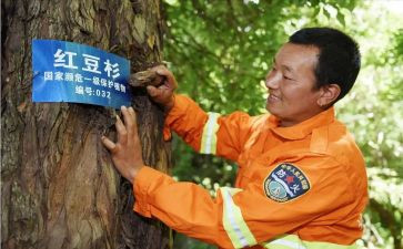 护林员半年总结6篇