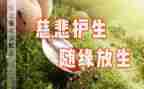 安全守护生命演讲稿5篇