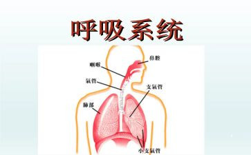 呼吸内科述职报告5篇