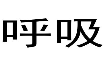 2024呼吸科工作计划6篇