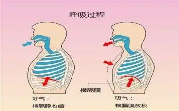 呼吸内科护士工作计划6篇