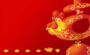 小班小鸡的教案参考5篇