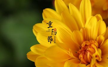 在传统佳节里作文600字6篇