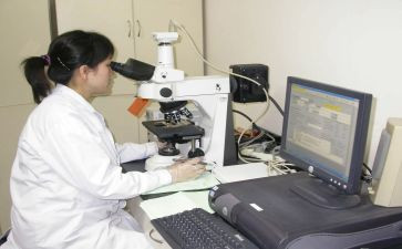 检测师述职报告范文5篇