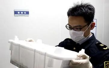 2024年检疫工作总结5篇
