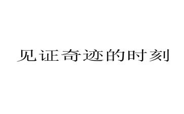 见证作文通用8篇