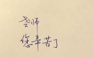 2024年教师工作计划范文最新8篇