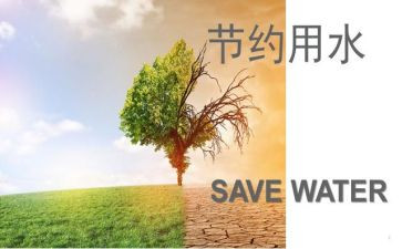 节约章的心得体会6篇