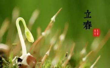 24节气教案最新7篇