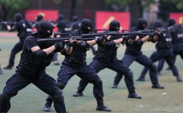 2024年警务室工作总结8篇