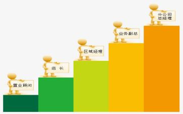 晋级个人总结通用范文6篇