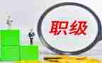 晋升高级教师专业技术工作总结7篇