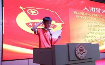 进团委心得体会8篇