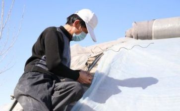 技术组工作计划推荐5篇
