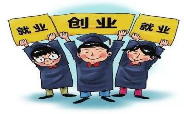 2024年充分就业工作总结6篇