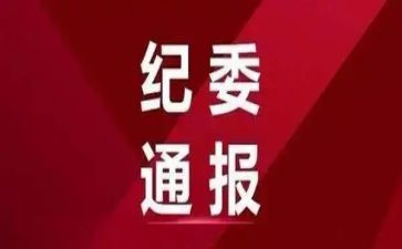2023乡纪委工作总结精选7篇