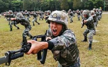 役集训心得体会6篇