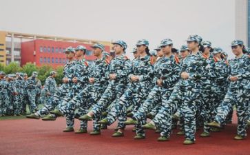 500军训心得体会优秀5篇