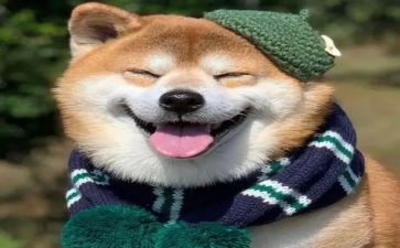 关于开心的作文8篇
