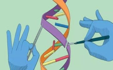 大班科学桥教案5篇