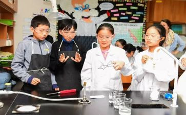 科学课培训总结5篇