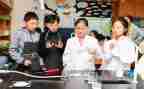 科学课培训总结5篇