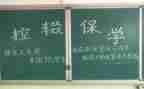 小学控辍工作总结8篇