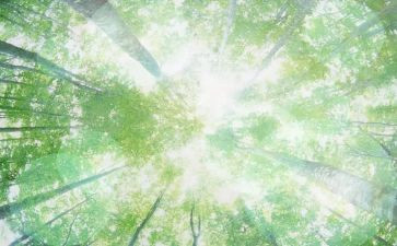 幼儿园《空气》教案6篇