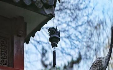 苦与乐发言稿800字参考8篇