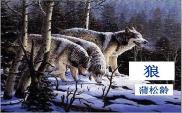 《狼》优秀教案最新6篇