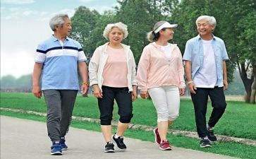2024年老年活动方案及策划6篇