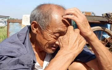 关爱老人实践心得8篇