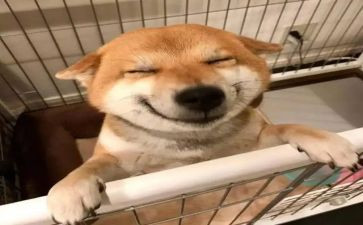 音乐生演讲稿6篇