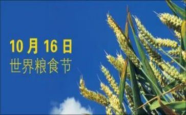 粮食节约的演讲稿参考7篇