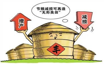 爱粮食节约粮食演讲稿通用7篇