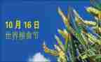粮食节约的演讲稿参考7篇