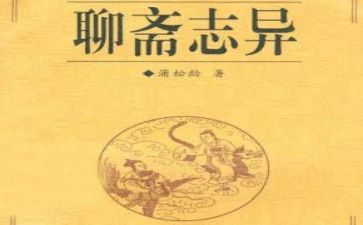 聊斋志异狼的读后感5篇