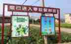 垃圾要分类教案优质6篇