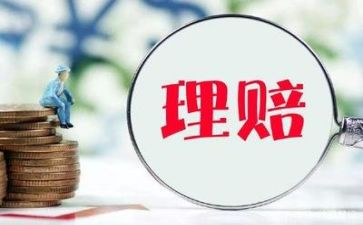 2024年理赔述职报告5篇
