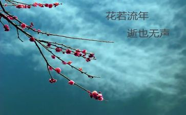 仓储物流年度总结5篇