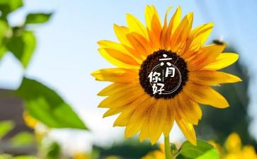 幼儿园小班六月份工作总结5篇