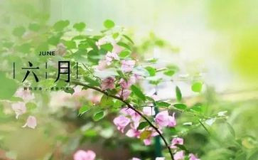 六月的工作总结通用6篇