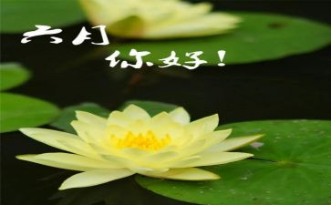 六月的工作总结6篇